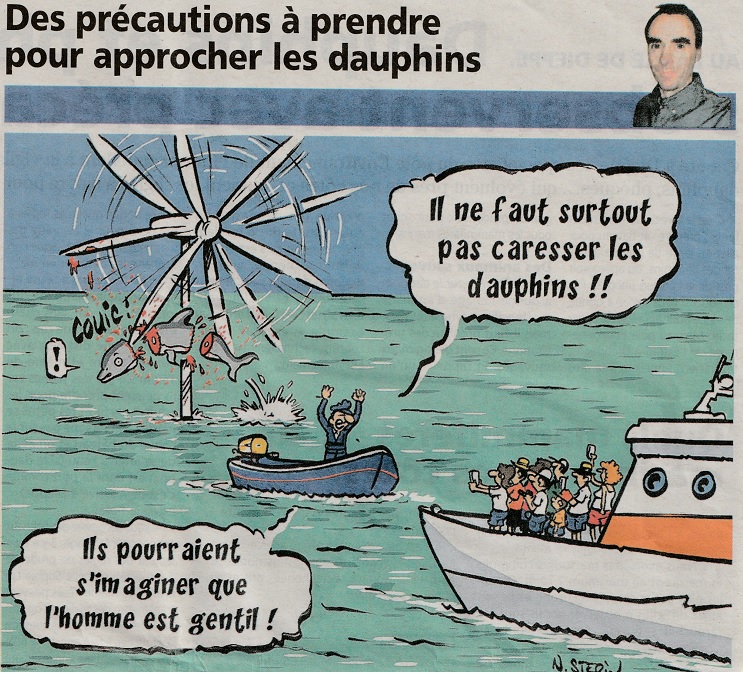 Des precautions a prendre pur approcher les dauphins - N.Sterin