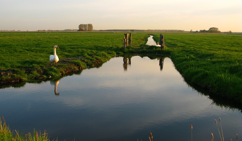 Polders - m.joy