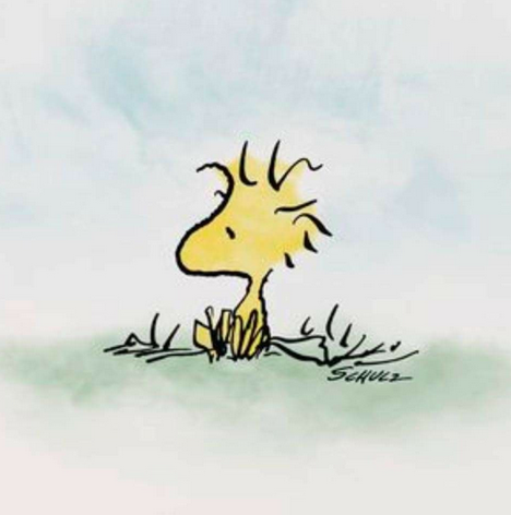 Quiet, just thinking
