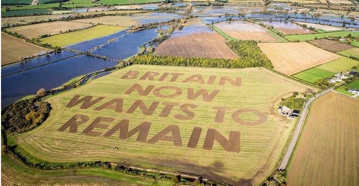 Farmer ploughs huge anti-Brexit message in field