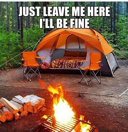 Back to the woods - ill be fine