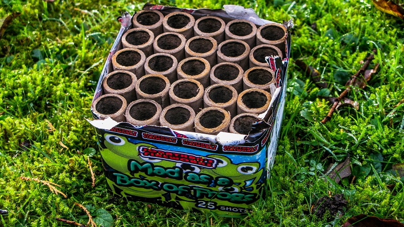 November the 5th - m.joy