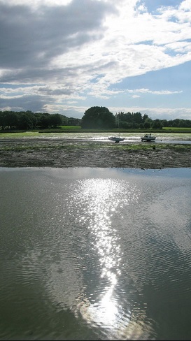 Waiting for the Tide - m.joy